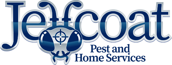 Picture of Jeffcoat Pest and Home Services - Initial Termite Treatment ($800 value) for Half Off!